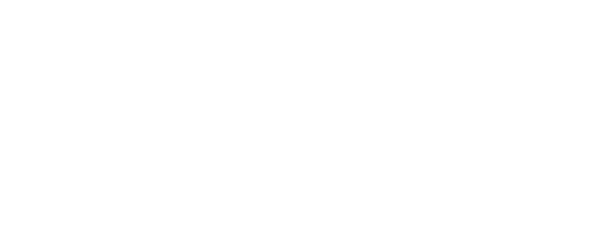 Fixácia v aute logo
